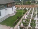 6.cimitir.curtea.bisericii